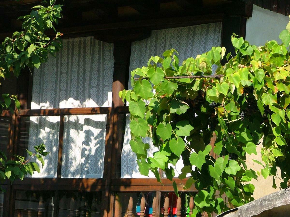 The Tinkov House In Lovech Exterior foto